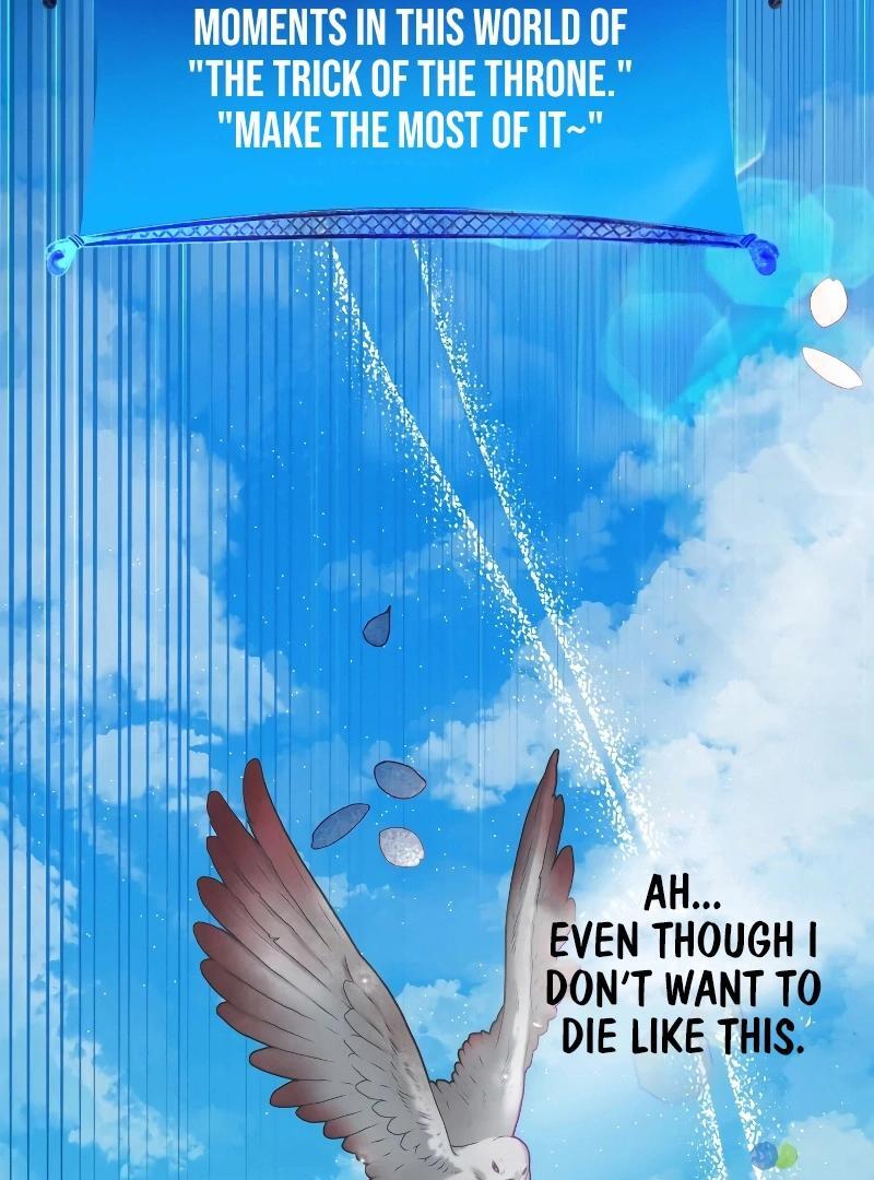 74288205 800 1080 127223